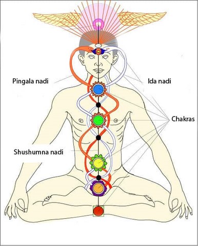 kundalini système kundalini