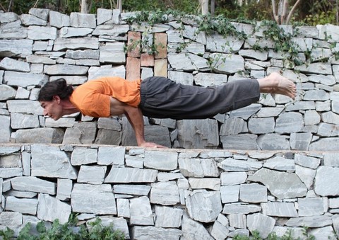 Mayurasana