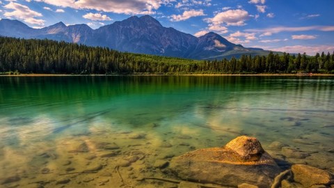 lac
