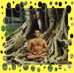 Yogi sous l'arbre boddhi Yogi