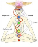 kundalini